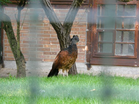 Фото Большой кракс