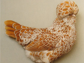 Фото Домашняя курица