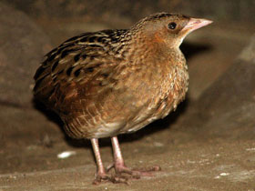 Фото Биография новорожденных