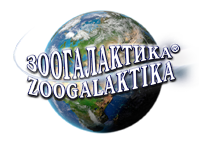 Зоогалактика - окружающий мир животные