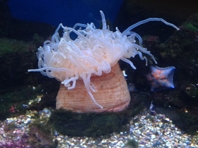 Смотреть фото Утрицина Фото Утрицина