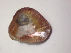 Фото Аномии