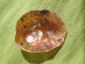 Фото Аномии