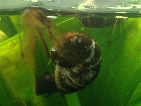 Фото Катушки