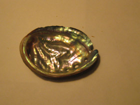 Фото Халиотисы