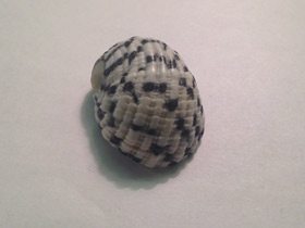 Фото Текстильная нерита