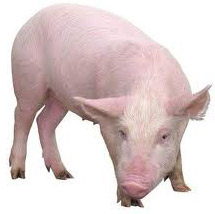 Смотреть фото Храбрецы и трусы Фото Храбрецы и трусы