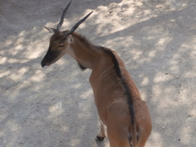 Смотреть фото Канна Фото Канна