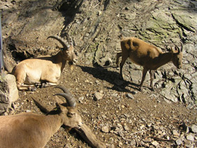 Смотреть фото Западнокавказский тур Фото Западнокавказский тур