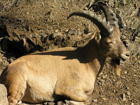 Смотреть фото Западнокавказский тур Фото Западнокавказский тур
