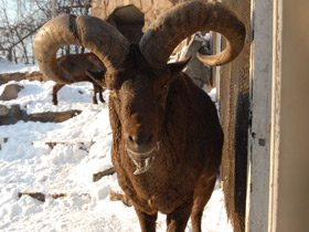 Смотреть фото Дагестанский тур Фото Дагестанский тур