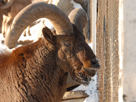 Смотреть фото Дагестанский тур Фото Дагестанский тур