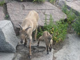 Смотреть фото Дагестанский тур Фото Дагестанский тур
