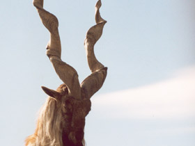 Фото Винторогий козёл