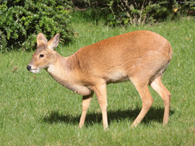 Смотреть фото Самые Фото Самые