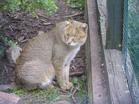 Смотреть фото Хаус Фото Хаус