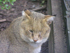 Смотреть фото Хаус Фото Хаус