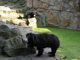 Смотреть фото Губач Фото Губач