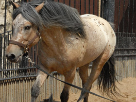 Смотреть фото Храбрецы и трусы Фото Храбрецы и трусы