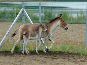 Смотреть фото Кианг Фото Кианг