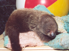 Фото «Мама, возьми меня на ручки!»