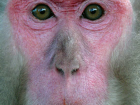 Фото «Мама, возьми меня на ручки!»