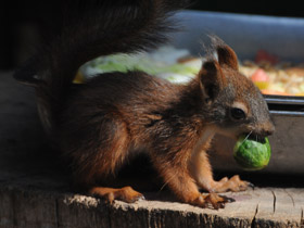 Фото Загадки для детей с ответами