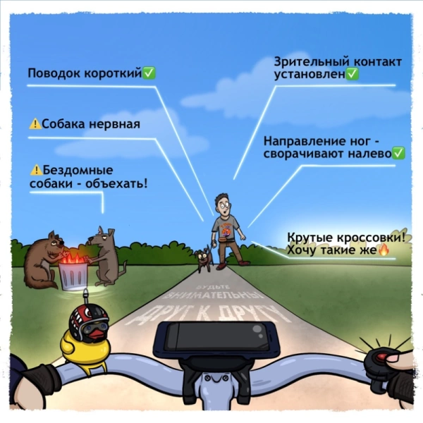 Как собакам и велосипедистам ужиться на одном тротуаре?