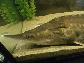 Фото Калуга