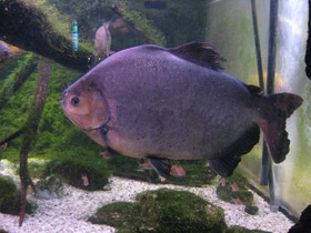 Смотреть фото Самые Фото Самые