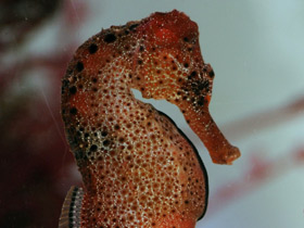 Смотреть фото Чья семья самая дружная? Самые верные животные Фото Чья семья самая дружная? Самые верные животные